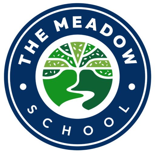 Meadow School