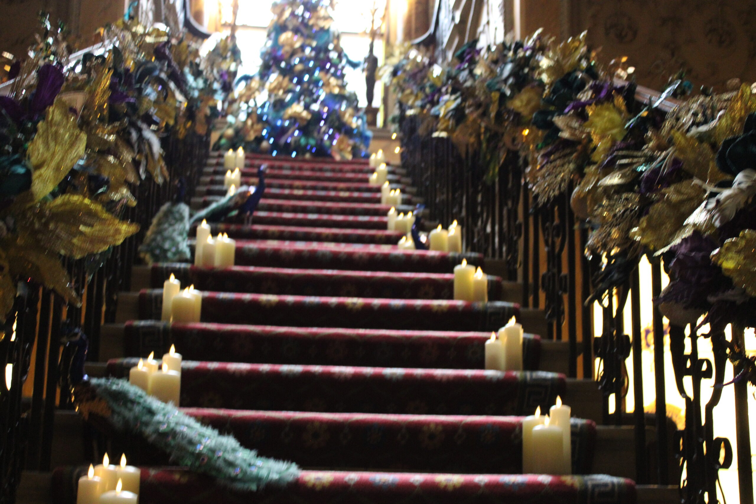 Inclusive enrichment opportunities during the Christmas trip to Harwood House.