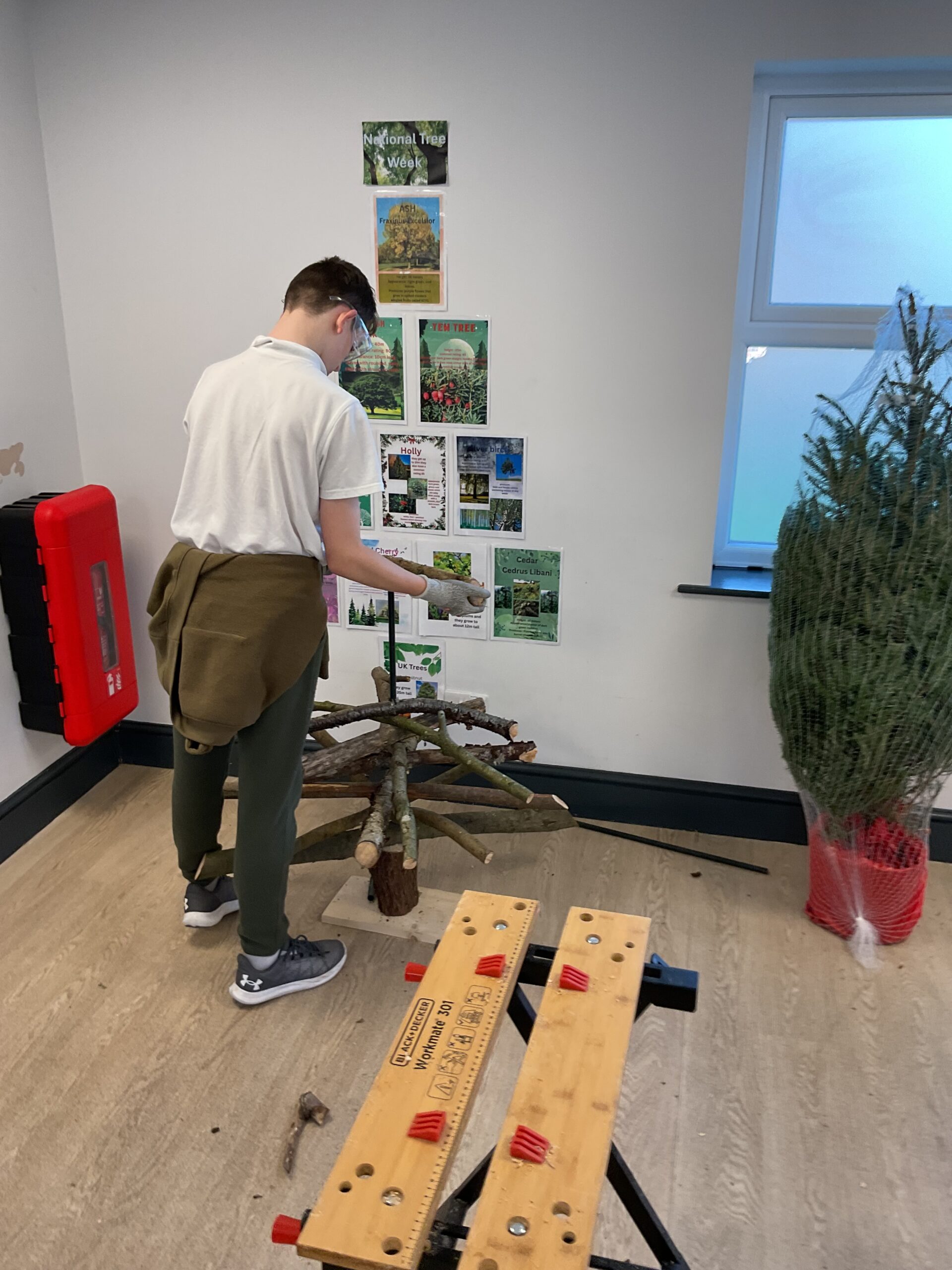 Learners at Allerthorpe Special Educational Needs School exploring and learning about trees during National Tree Week.