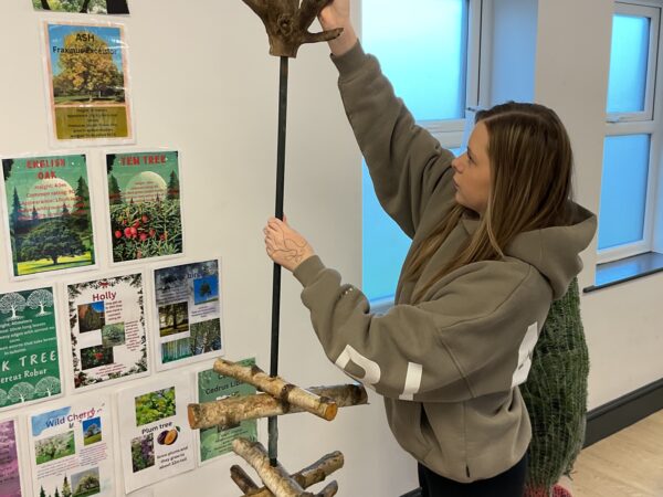 Supporting environmental awareness and conservation through inclusive National Tree Week activities at Allerthorpe SEN School.