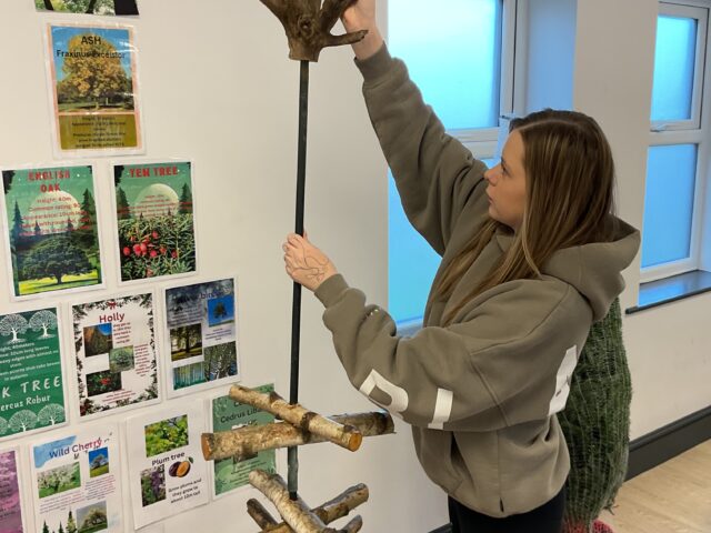 Allerthorpe School Celebrates National Tree Week