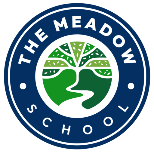 Meadow School Dev