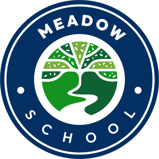 Meadow School